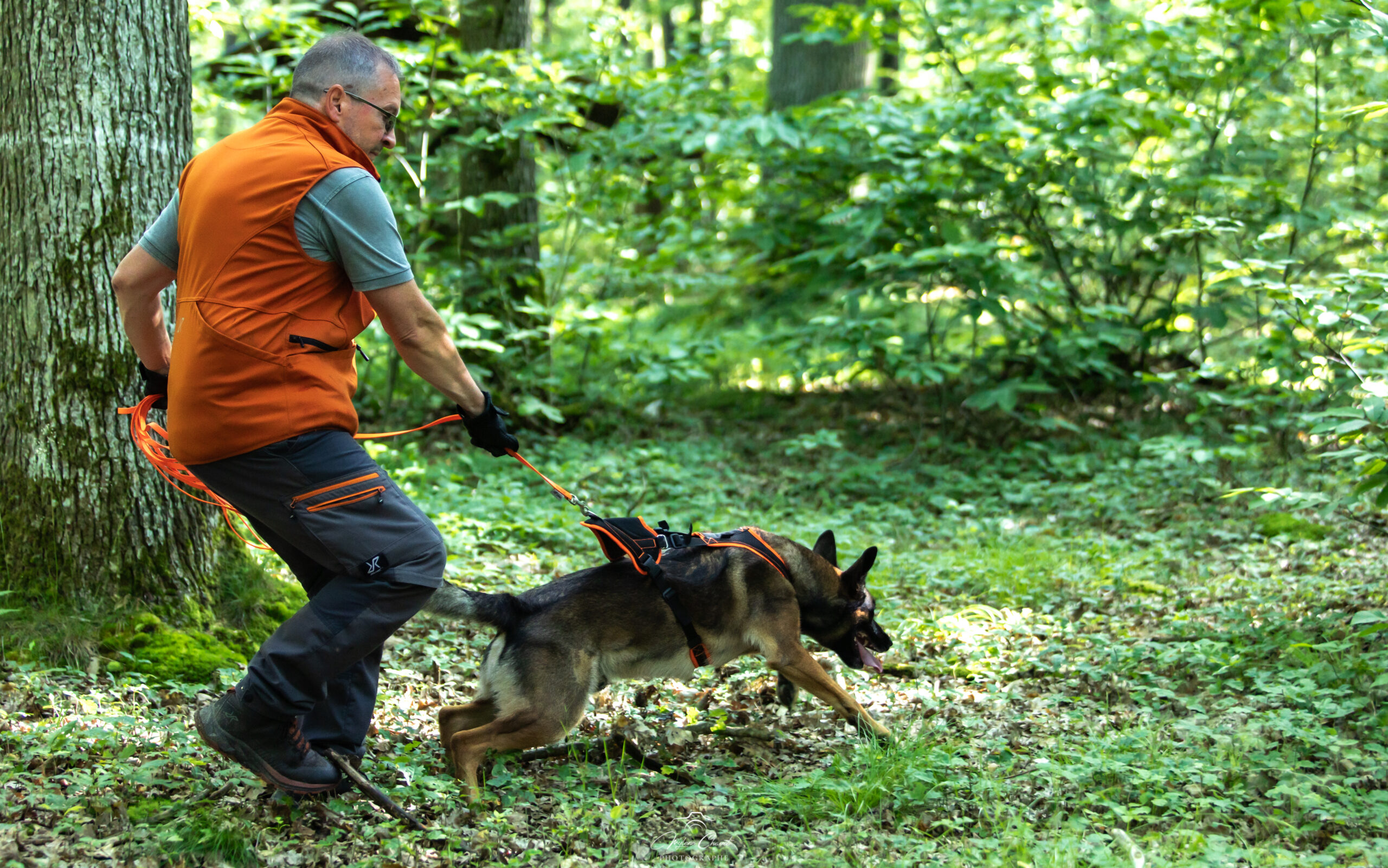 Envie de faire du mantrailing ?