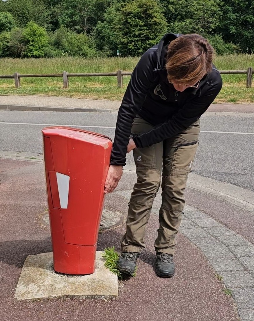 Rôle du traceur